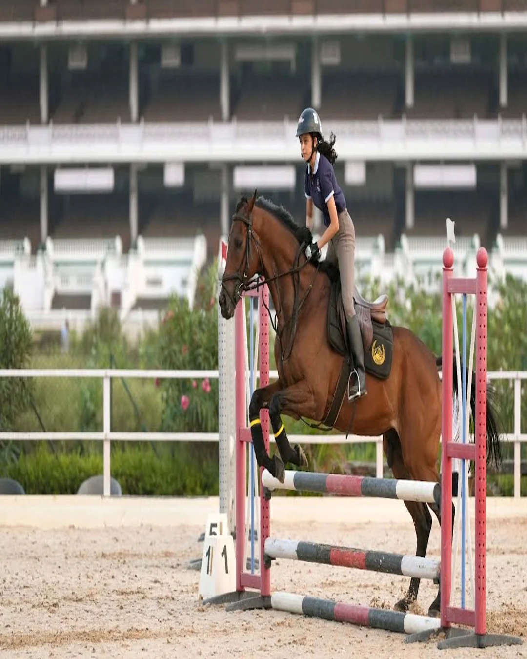 Riding Towards Excellence: Amaira Badlani